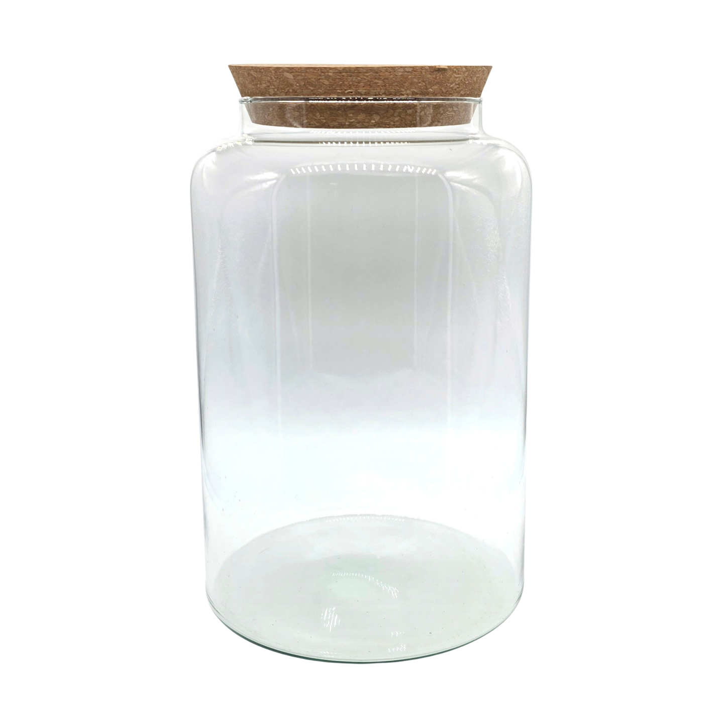 Large Terrarium Kit with 3 Plants - Closed Terrarium Gift for Plant Lovers