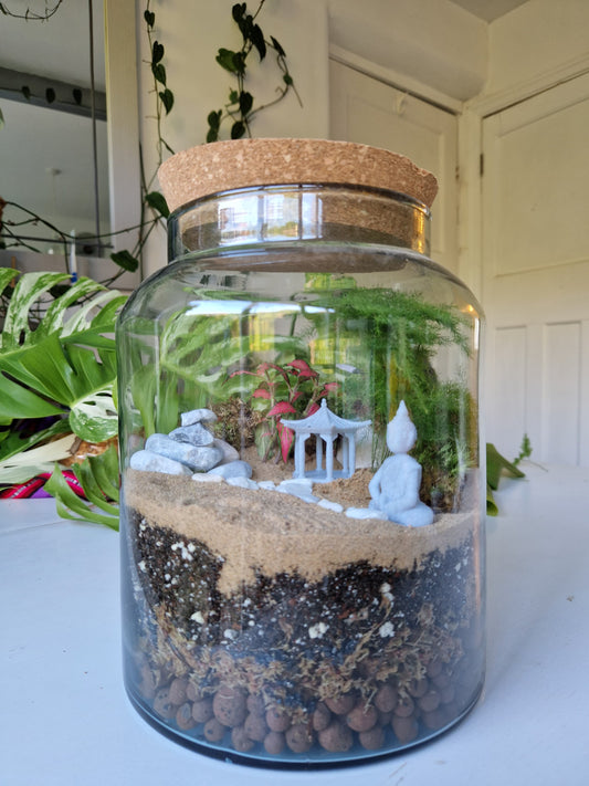 Zen Garden Terrarium Kit 