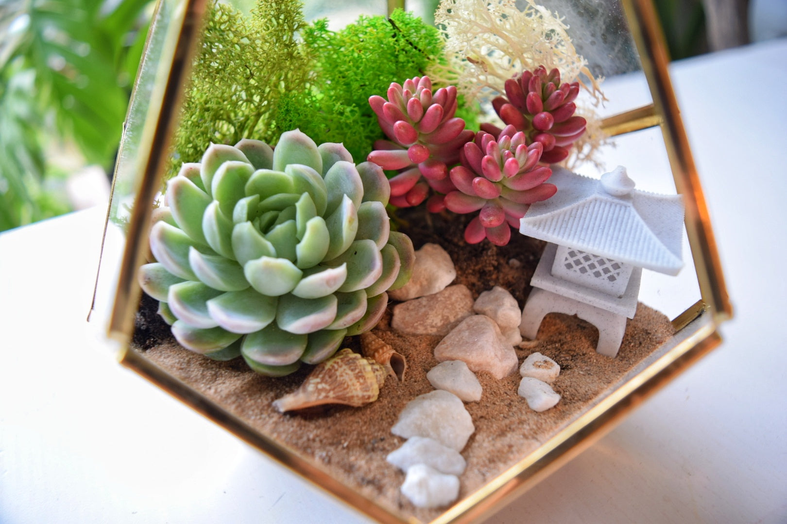 gold succulent terrarium Gold Geometric Succulent Terrarium Kit | Plant Gift