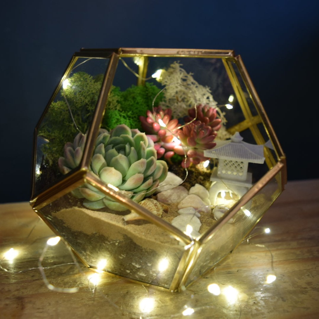 Gold Geometric Terrarium Kit with Succulent or Cactus | Christmas Plant Gift