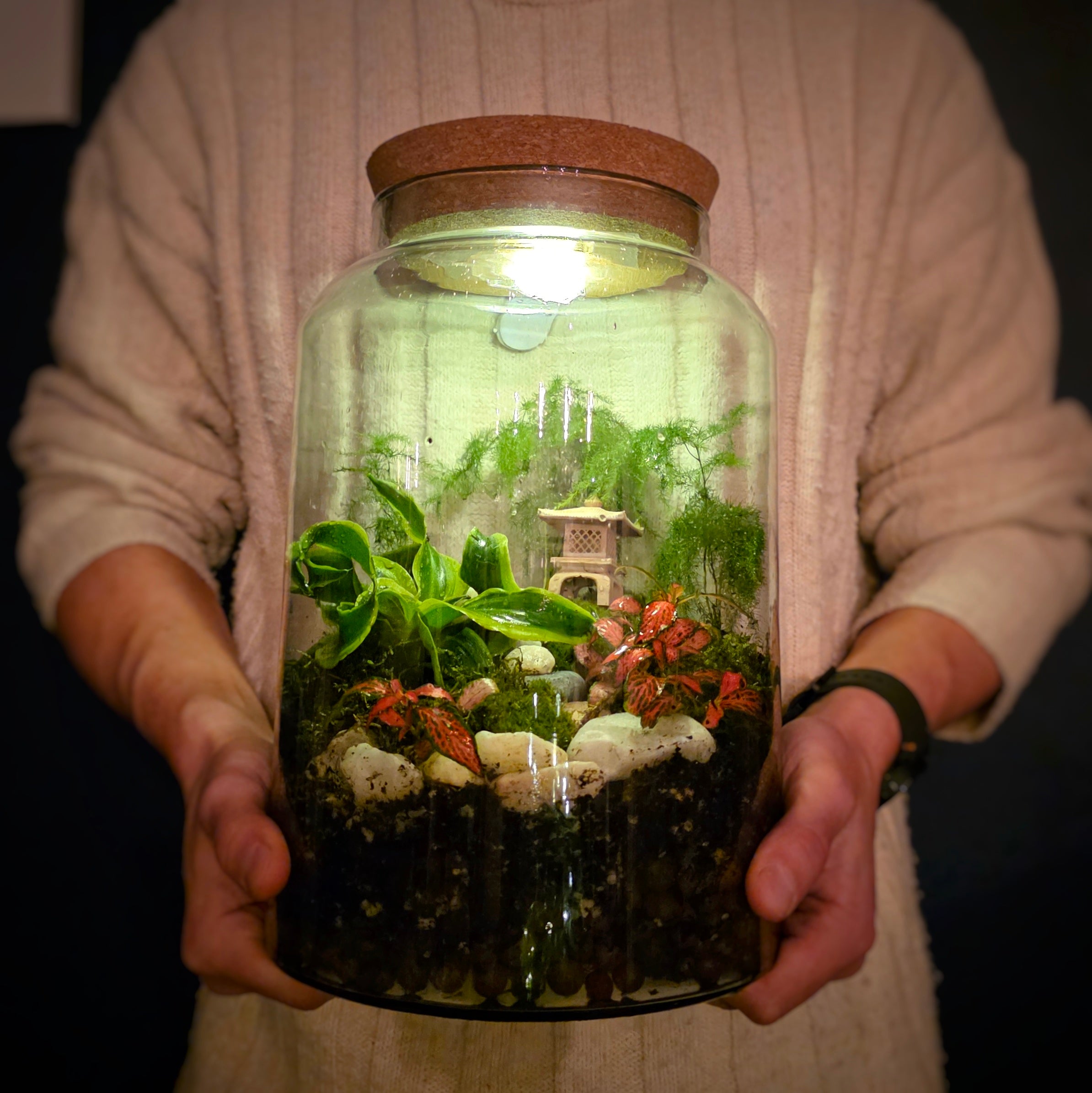 Large Terrarium Kit with 3 Plants - Closed Terrarium Gift for