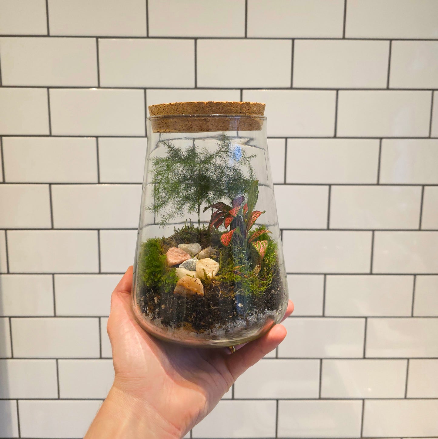 Closed Terrarium with Live Plants