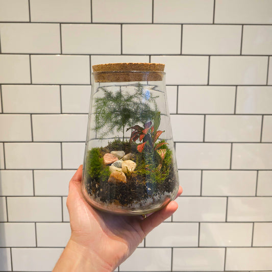 Closed Terrarium with Live Plants
