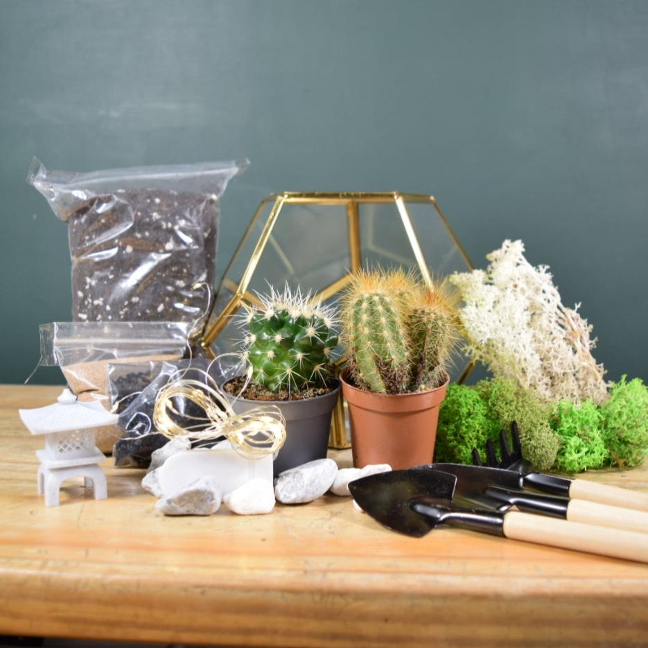 Gold Geometric Terrarium Kit with Succulent or Cactus | Christmas Plant Gift