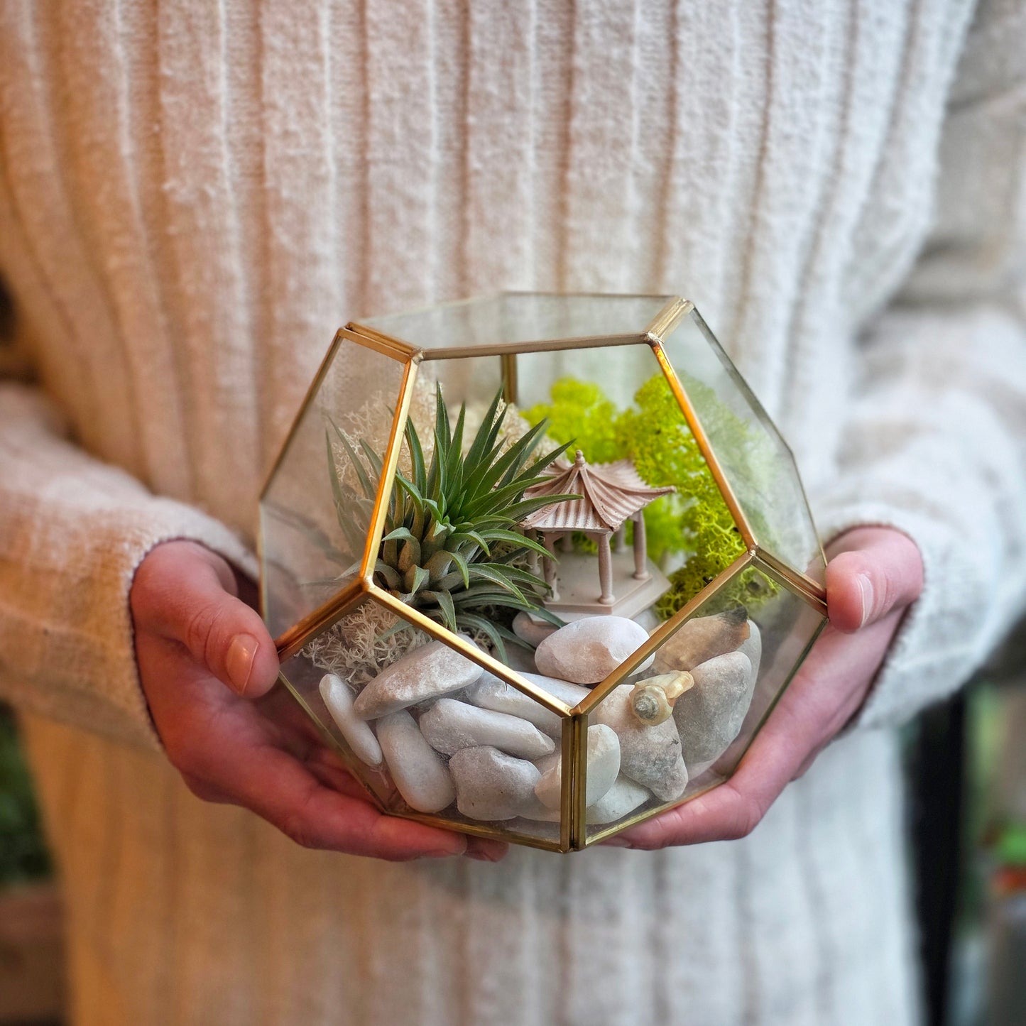 DIY Terrarium Kit - Air Plants - Air Plant Display Holder - DIY Terrarium - Plant Gift