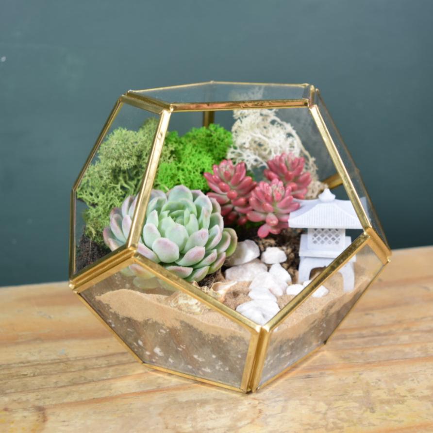 Gold Geometric Terrarium Kit with Succulent or Cactus | Christmas Plant Gift