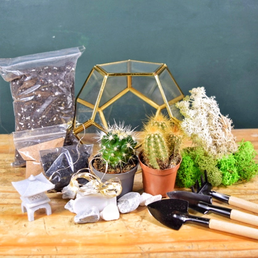 Gold Geometric Succulent Terrarium Kit | Plant Gift | Cactus Terrarium
