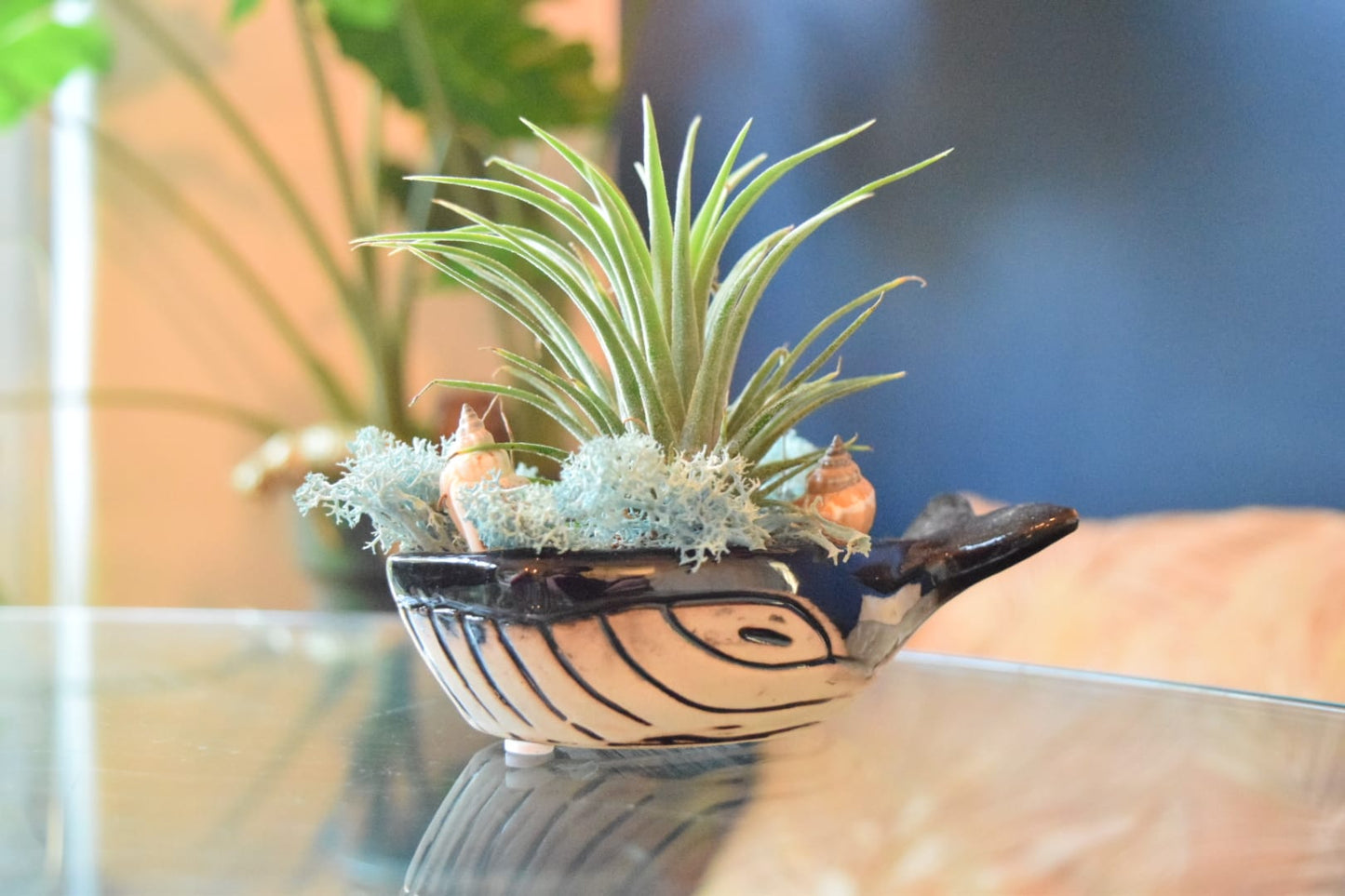 Ceramic Whale with Air Plant - Air Plant Holder