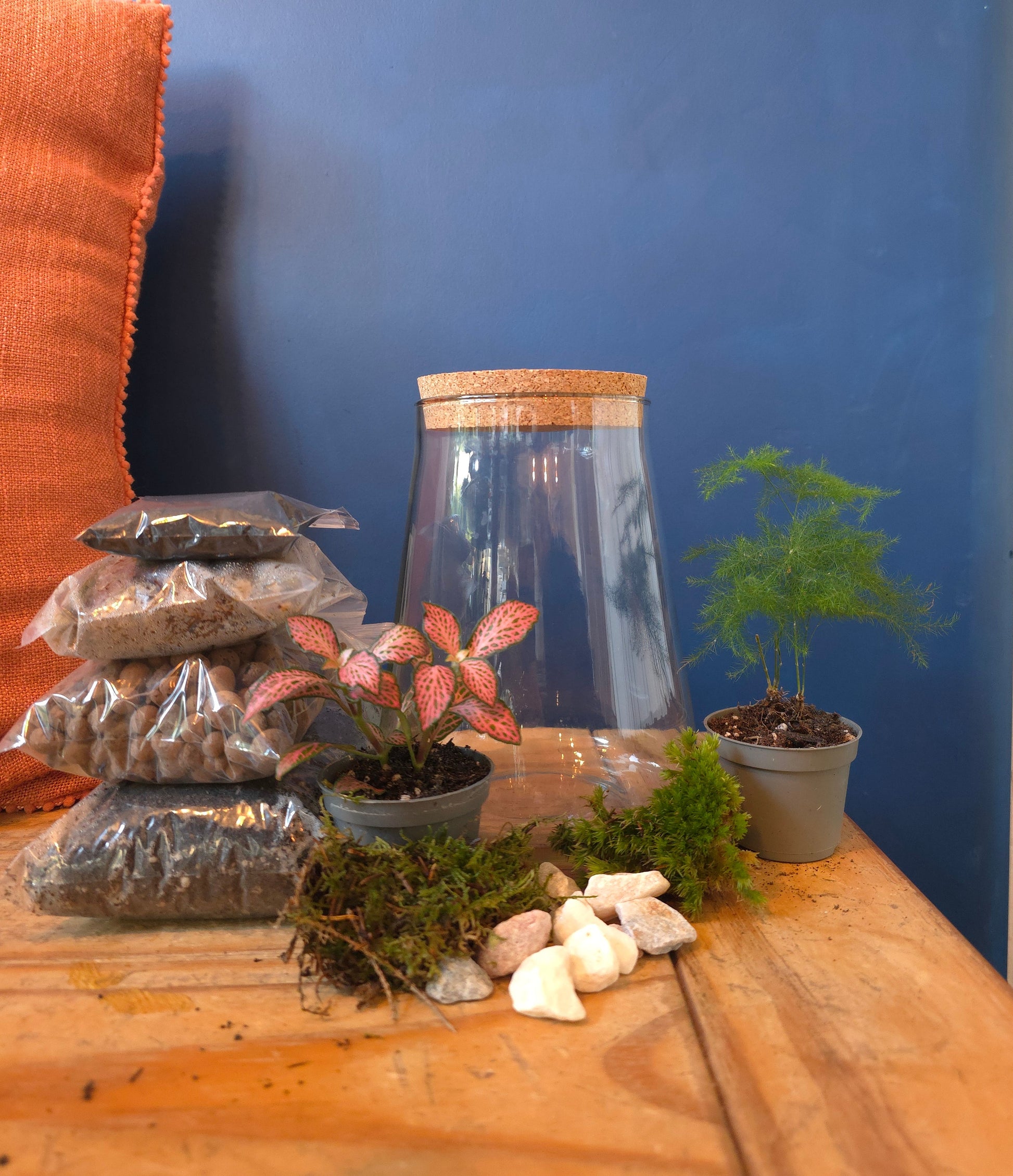 Closed Terrarium with Live Plants