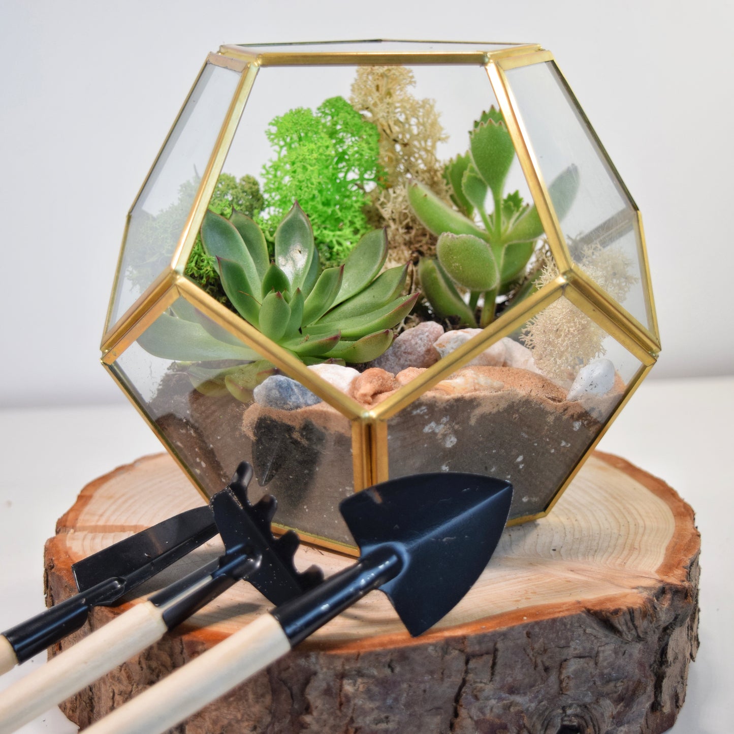 Gold Geometric Succulent Terrarium Kit | Plant Gift | Cactus Terrarium