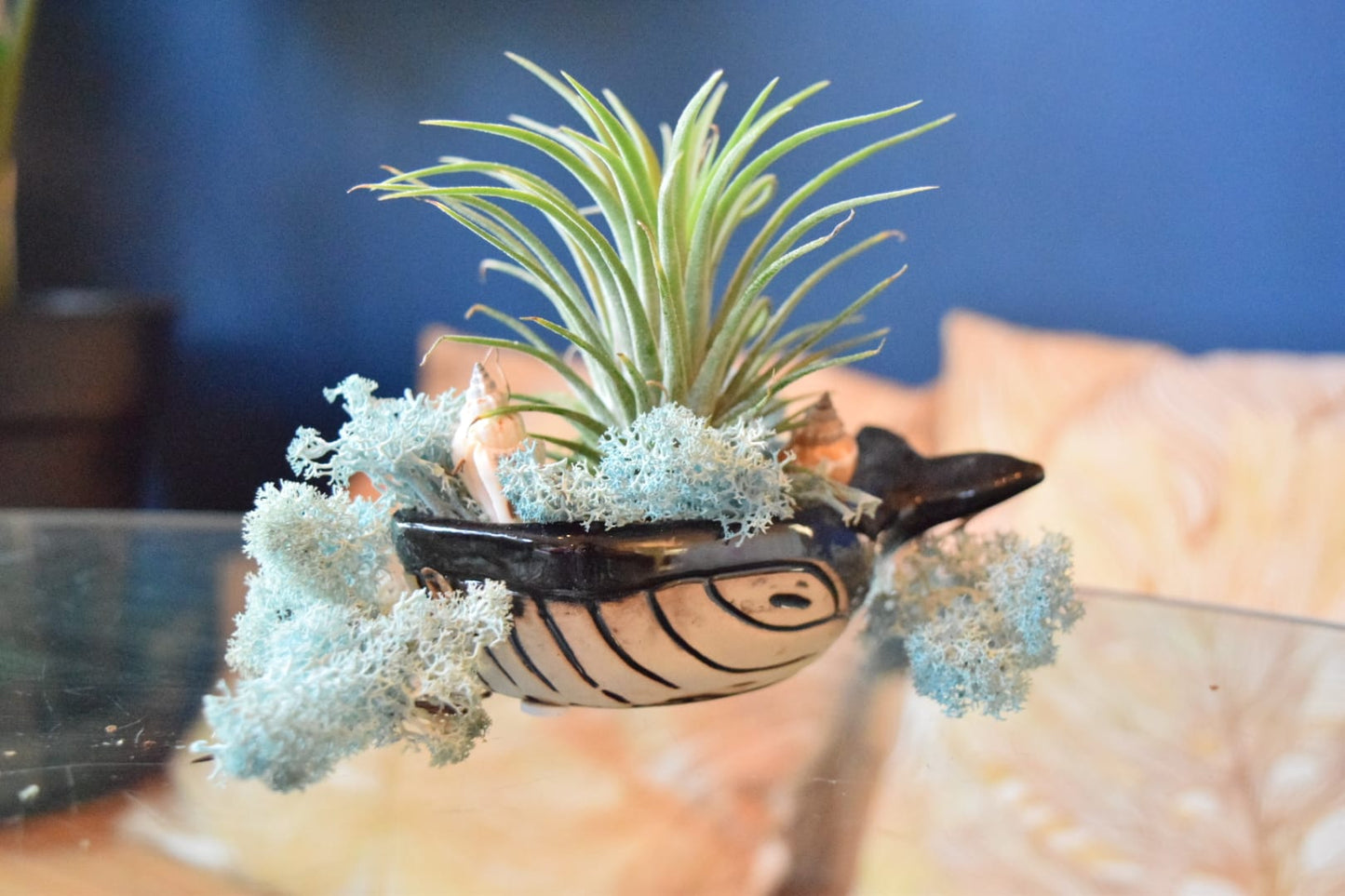 Ceramic Whale with Air Plant - Air Plant Holder