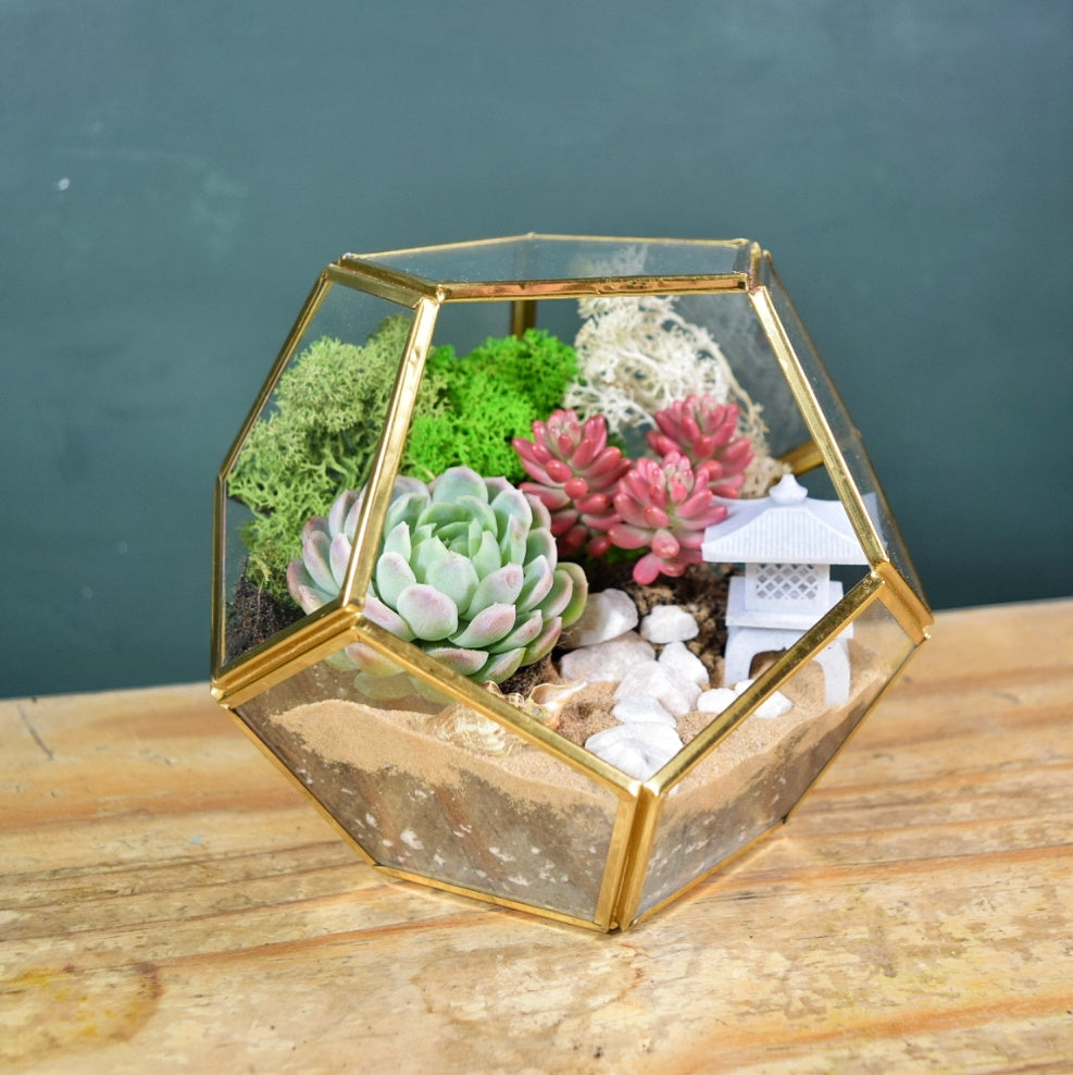 Gold Geometric Succulent Terrarium Kit | Plant Gift | Cactus Terrarium
