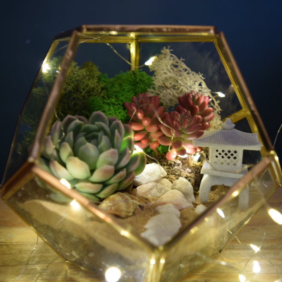 Gold Geometric Terrarium Kit with Succulent or Cactus | Christmas Plant Gift