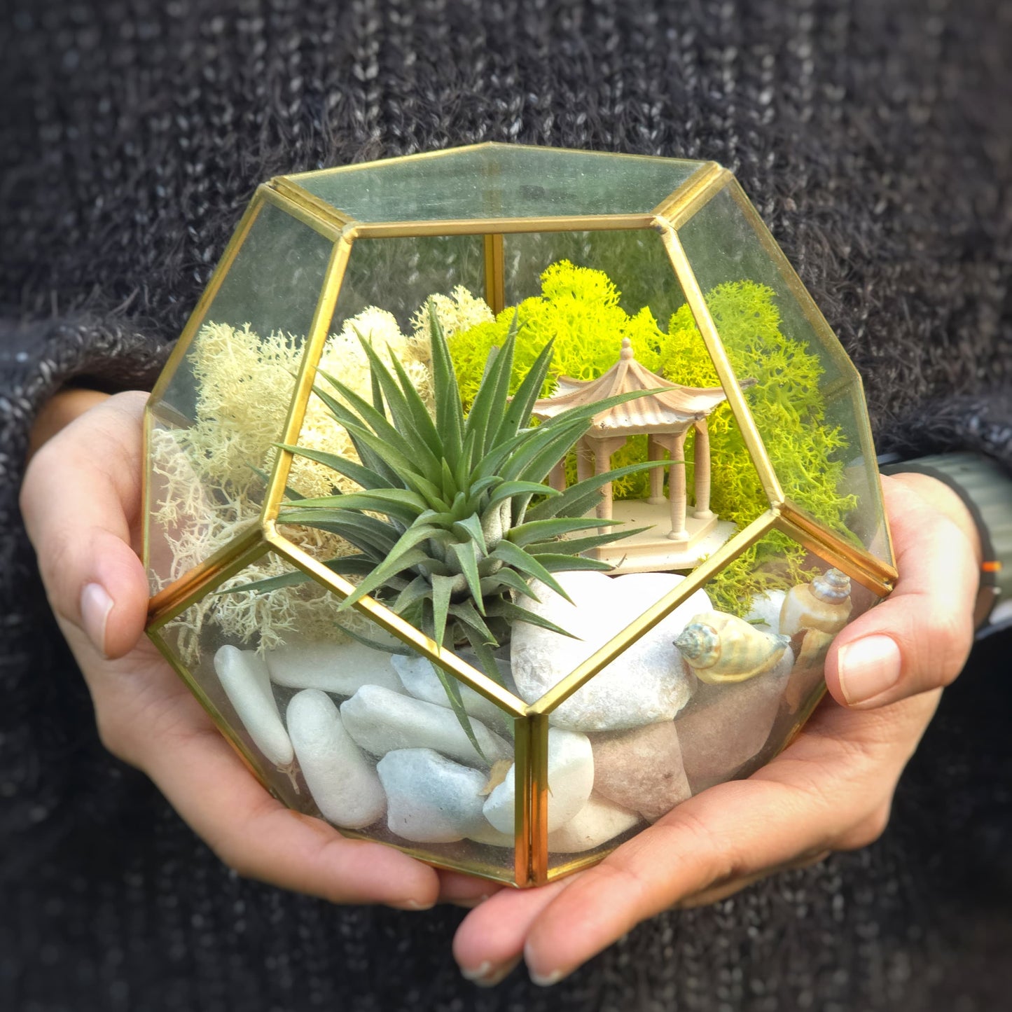 DIY Terrarium Kit - Air Plants - Air Plant Display Holder - DIY Terrarium - Plant Gift