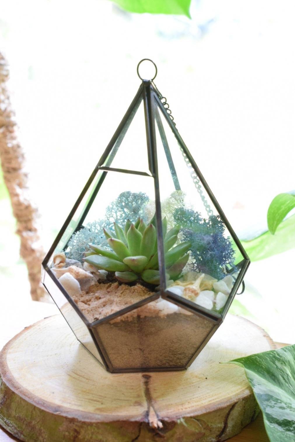 Geometric Terrarium Kit with Succulent or Cactus - DIY Terrarium Kit - Plant Gift