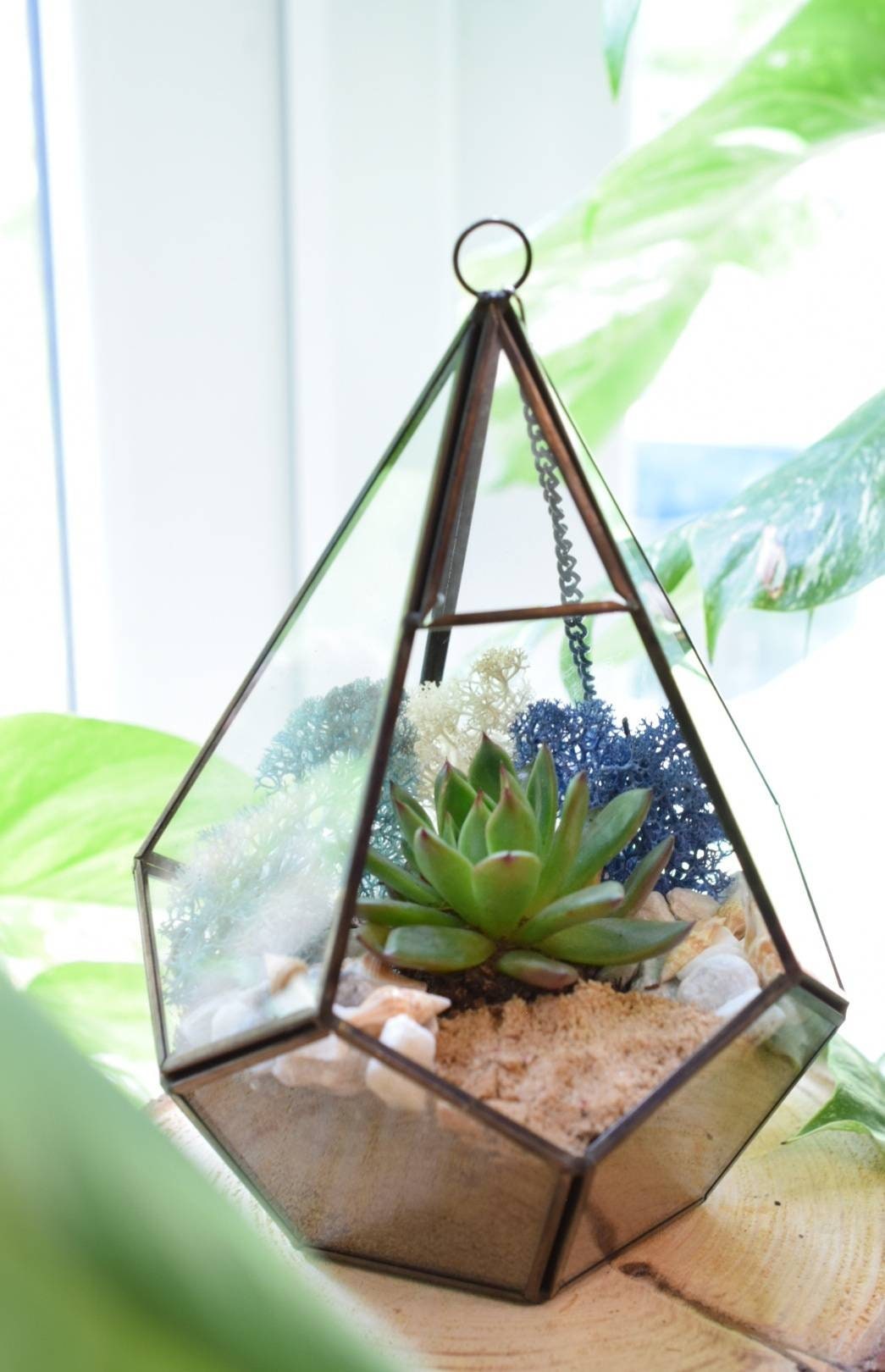 Geometric Terrarium Kit with Succulent or Cactus - DIY Terrarium Kit - Plant Gift