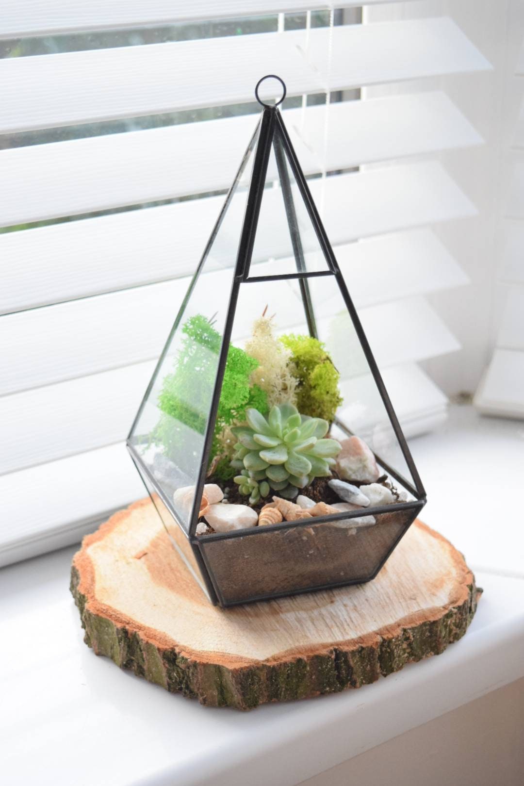 Geometric Terrarium with Plant Succulent or Cactus - Plant Gift