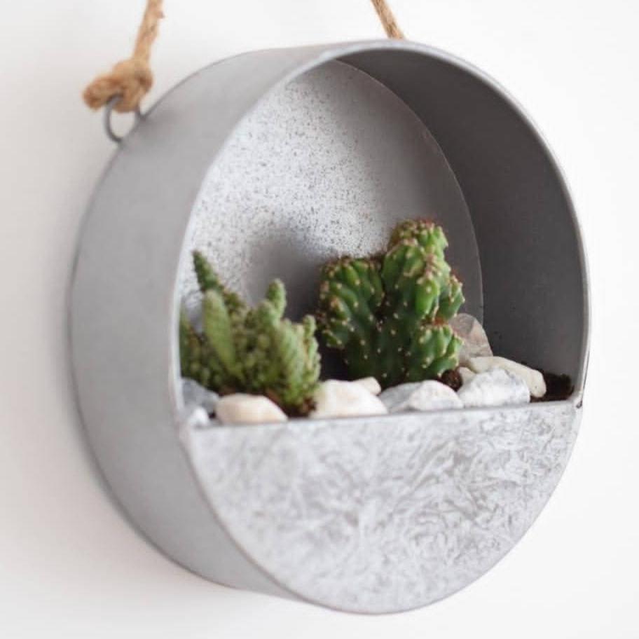 Hanging Terrarium Kit with Plants - Metal Planter- Wall Planter- Plant Gift - Succulent Garden