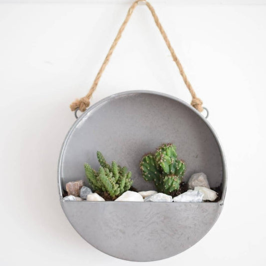 Hanging Terrarium Kit with Plants - Metal Planter- Wall Planter- Plant Gift - Succulent Garden