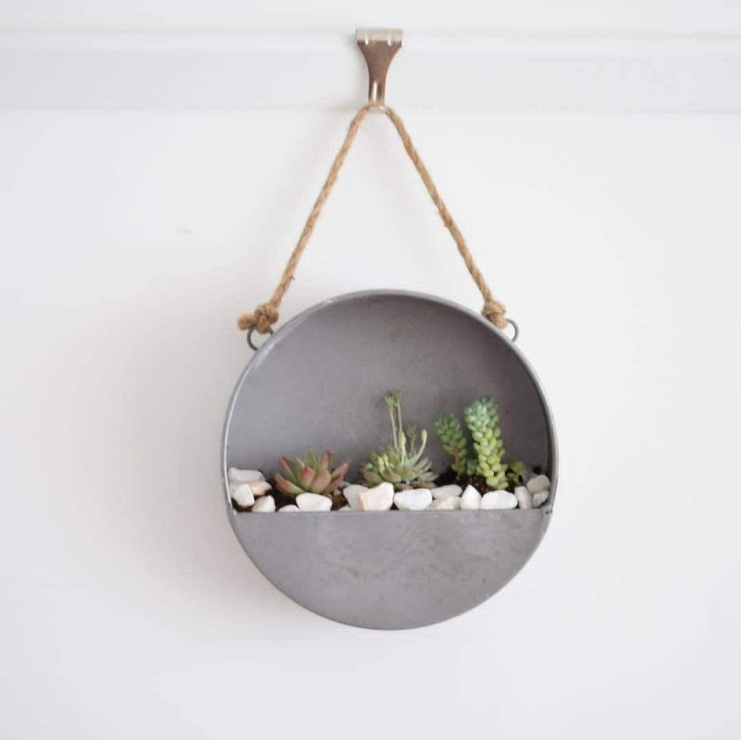 Hanging Terrarium Kit with Plants - Metal Planter- Wall Planter- Plant Gift - Succulent Garden